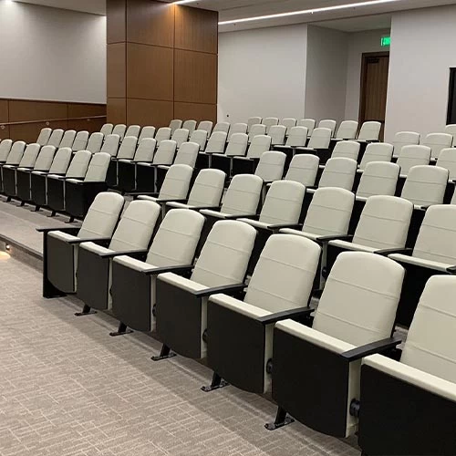 Auditorium Chairs