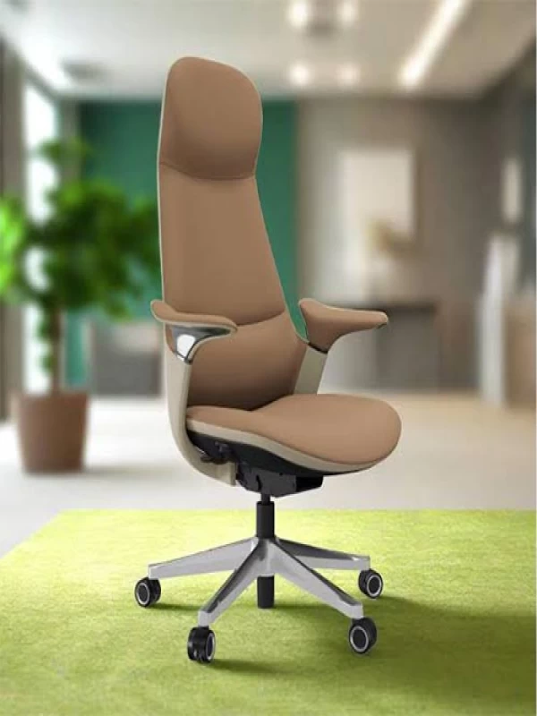 Director Chairs