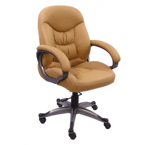 Low Back Leatherette Chair